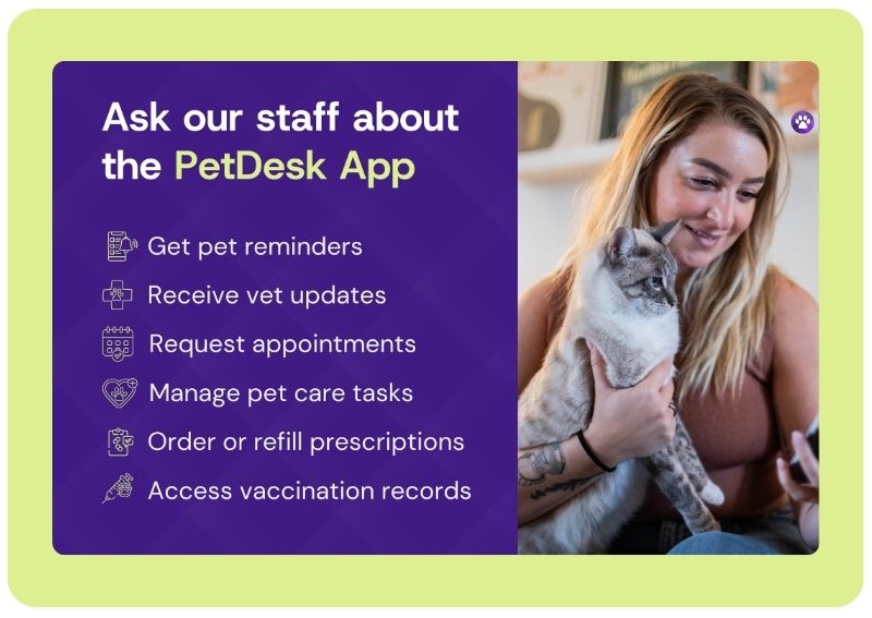 Carousel Slide 1: Download Our App