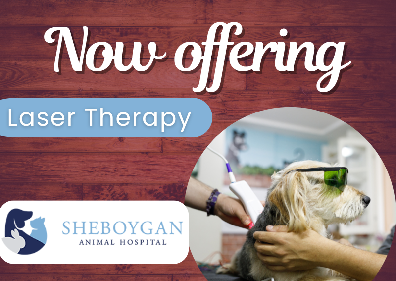 Carousel Slide 1: Click here to book!